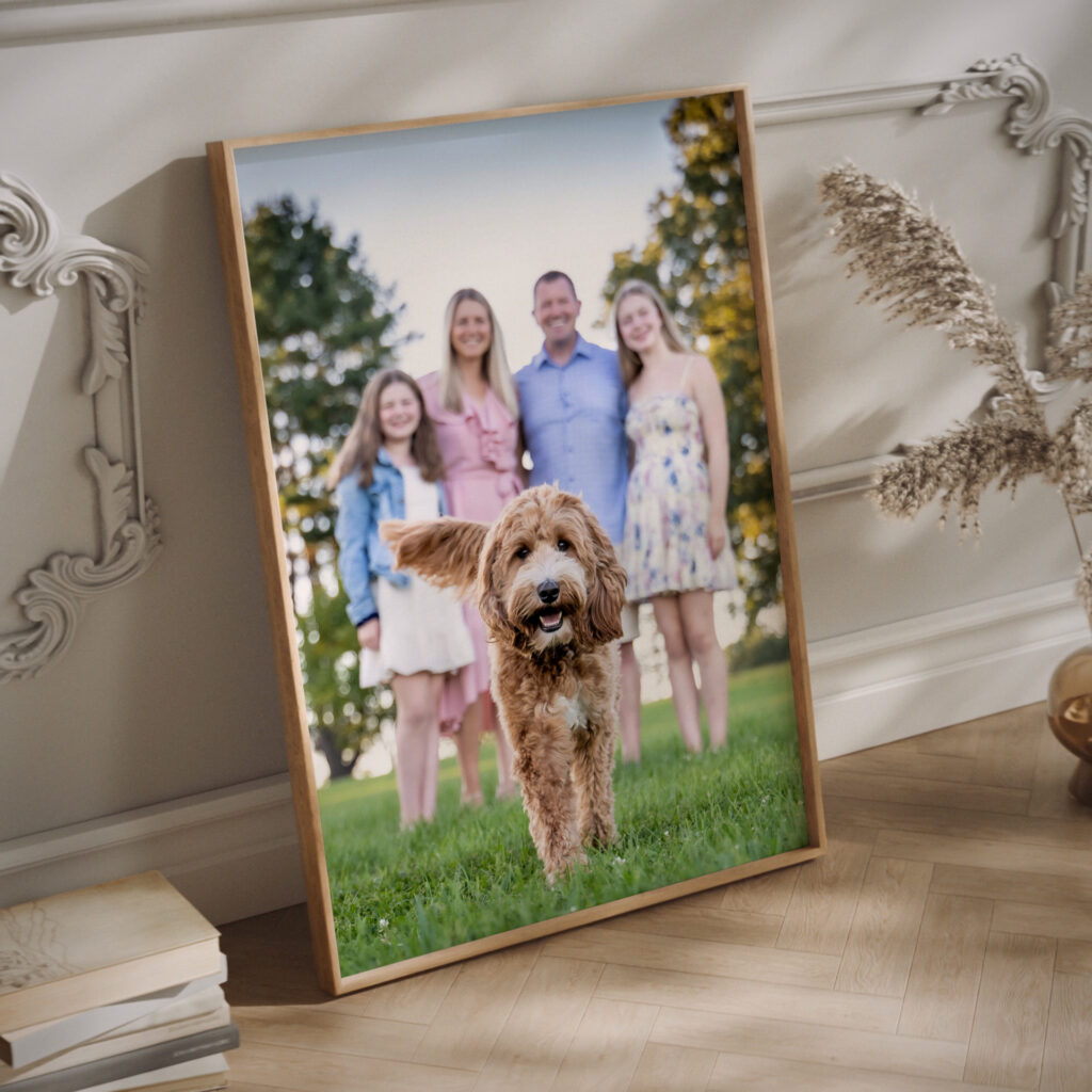 MA Portrait Photographer | A framed portrait featuring a golden doodle in sharp focus with a smiling family of four standing behind, displayed as fine art photography wall décor leaning against a decorative wall.