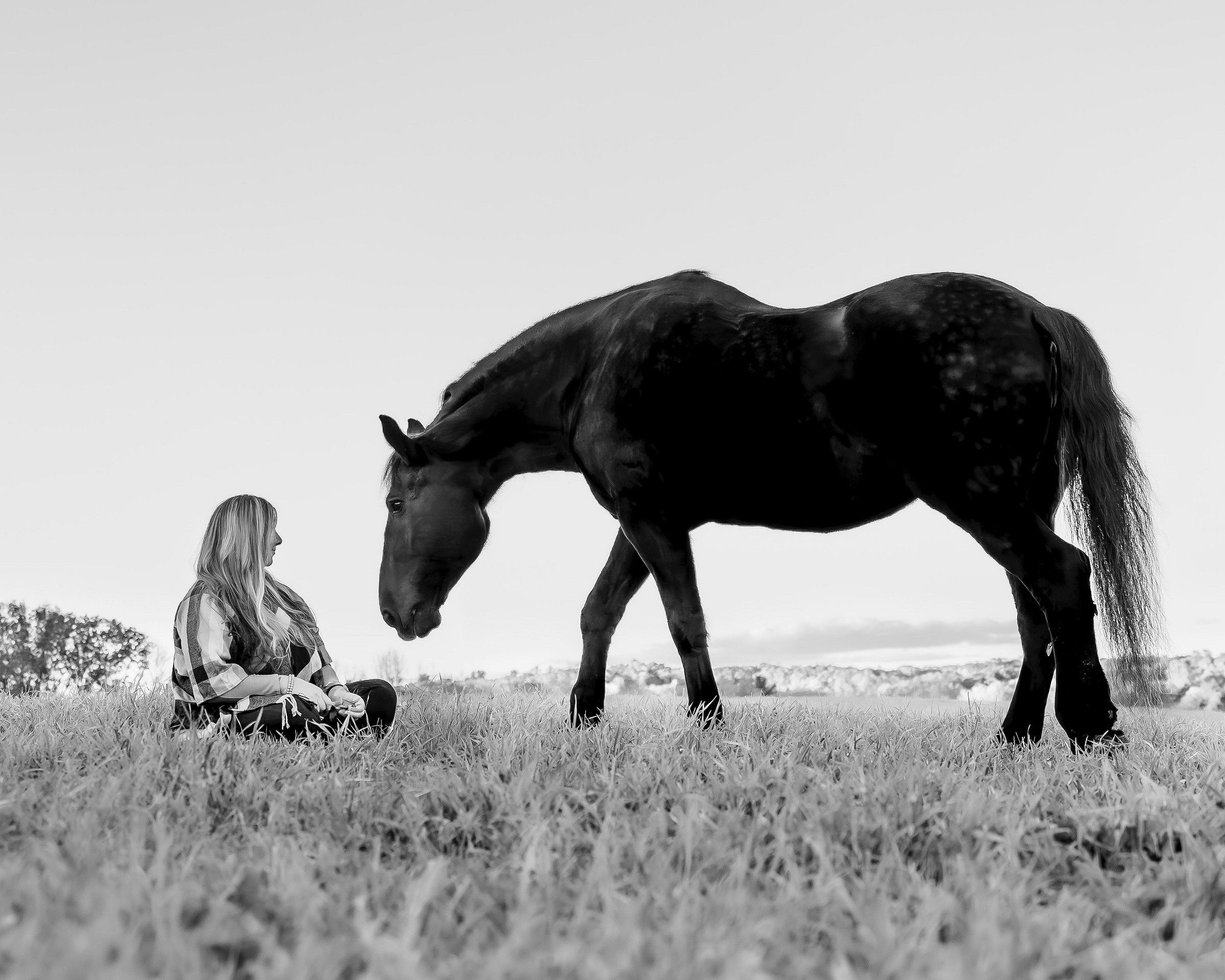 CT Equine Photography | Rob Faber Photography | Horse Photos | Black-and-white portrait of a woman and her horse sharing an intimate, quiet moment in an open field.