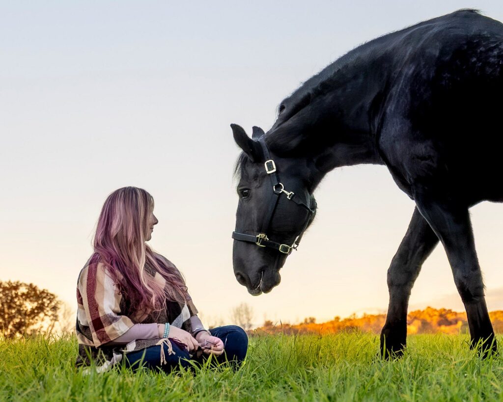 CT Equine Photography | Rob Faber Photography | Horse Photos | Black horse grazing inches from a woman seated in the grass, creating a calm, natural equine storytelling image.